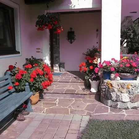 Casa de hóspedes Gaestehaus Scharler 3*