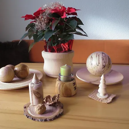 בית הארחה Gaestehaus Scharler 4*