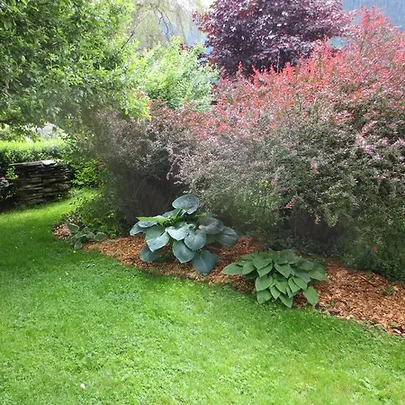 Vendégház Gaestehaus Scharler