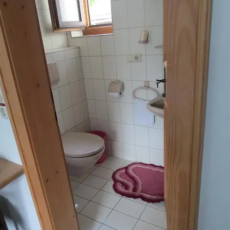 Casa de hóspedes Gaestehaus Scharler 3*