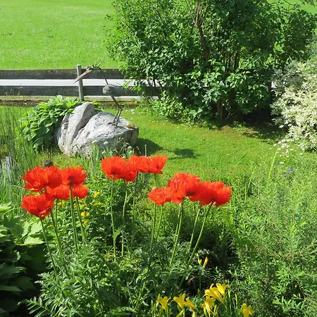 Vendégház Gaestehaus Scharler 4*
