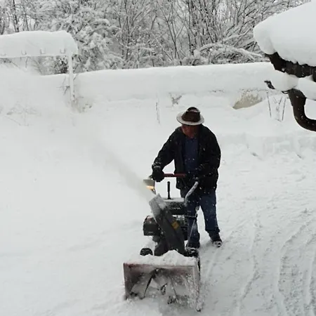Vendégház Gaestehaus Scharler 4*